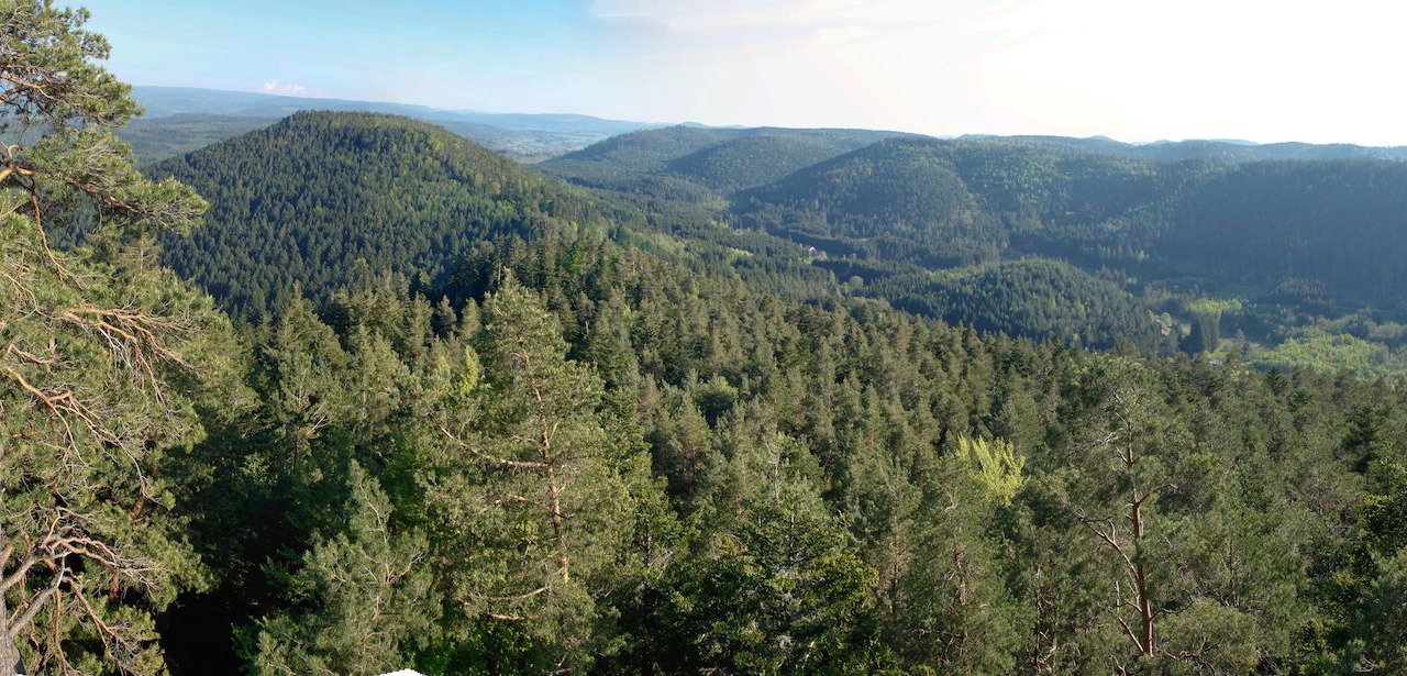 Photo of Outdoor in Les Rouges-Eaux