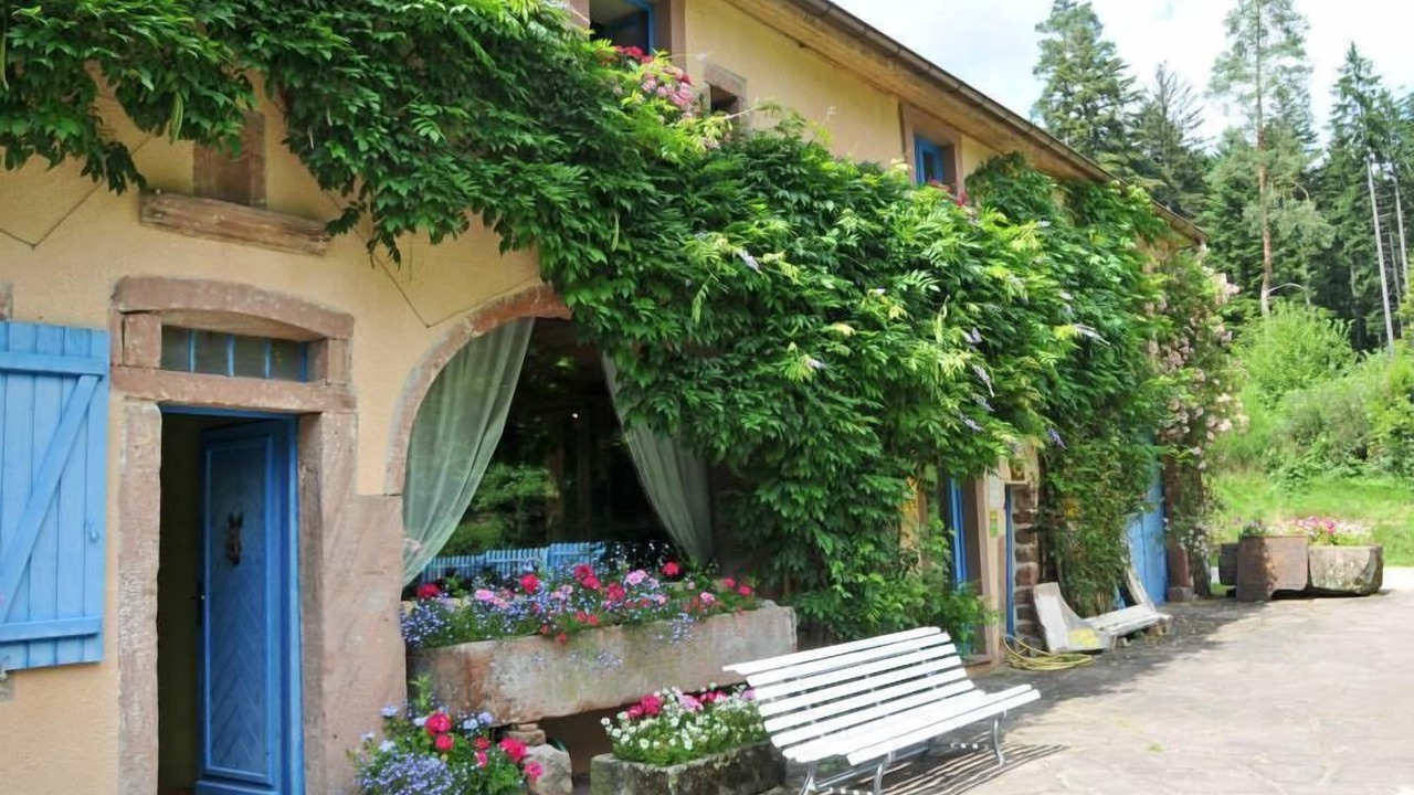 Photo of Outdoor in Les Rouges-Eaux