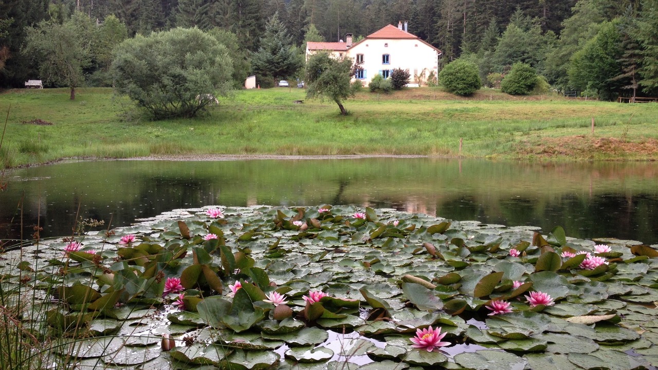Photo of Others in Les Rouges-Eaux