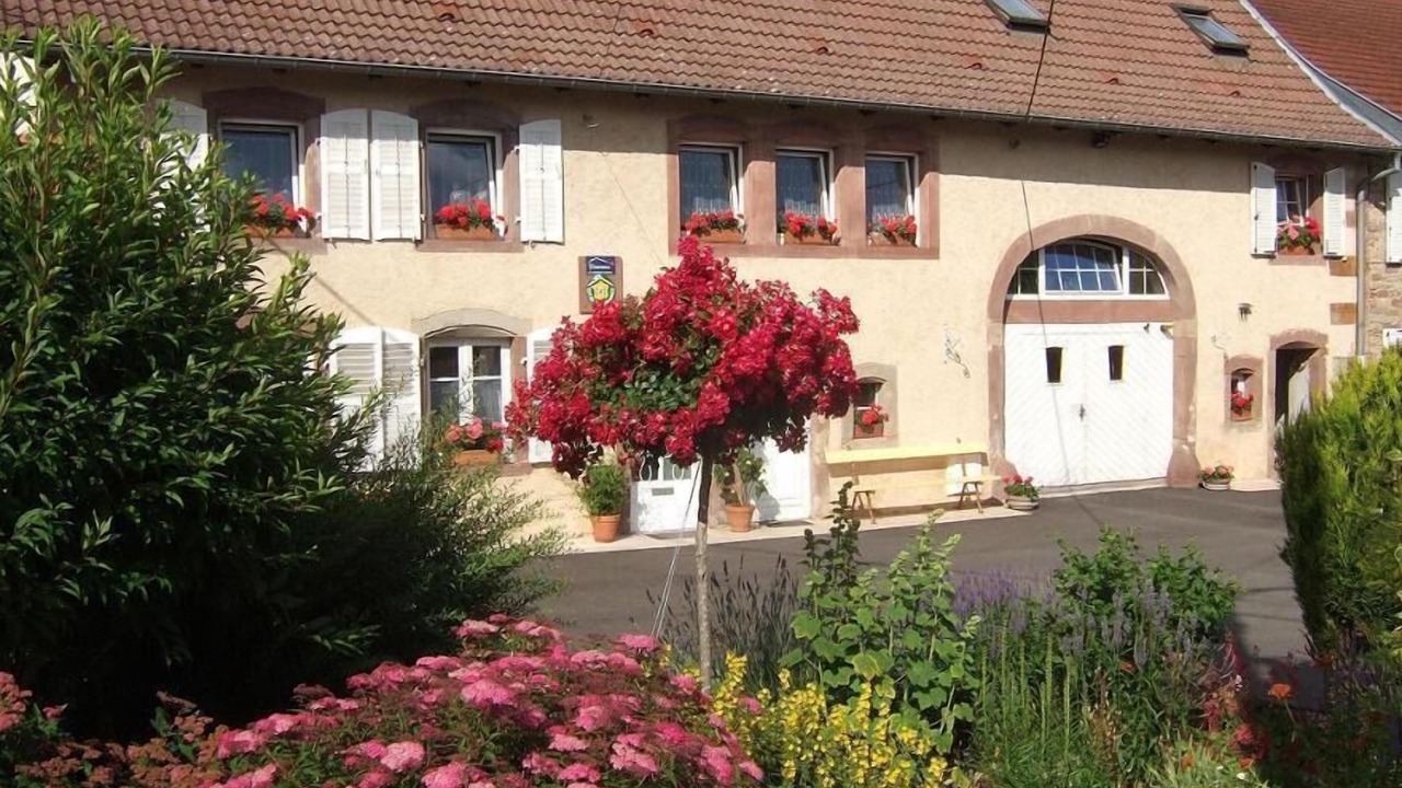 Photo of Outdoor in Niderviller