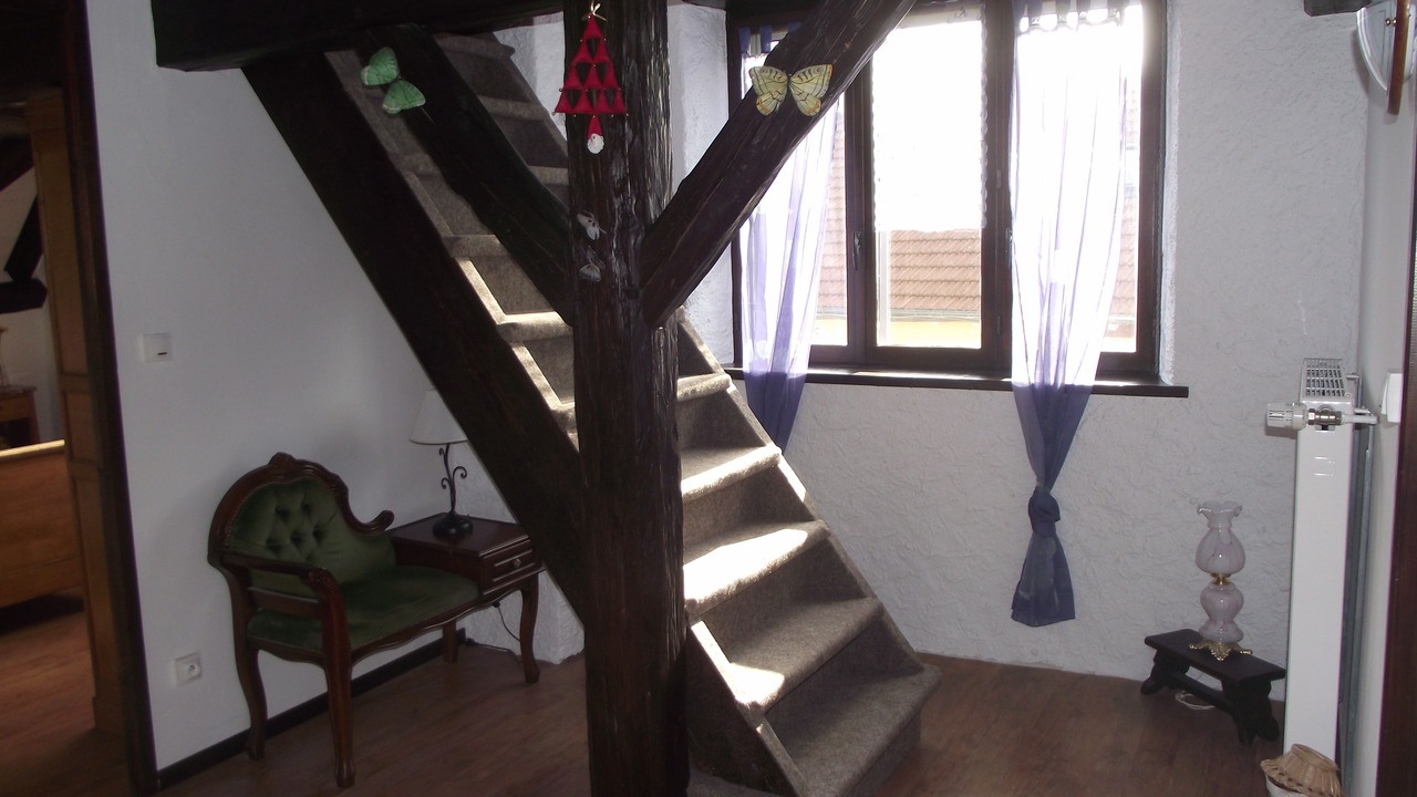 Photo of Others in Niderviller