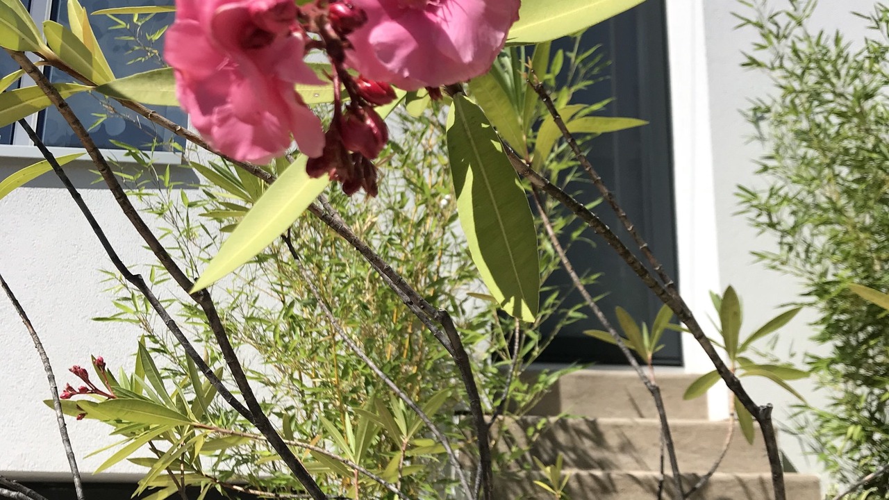 Photo of Outdoor in Quartier Beauregard-Boufflers-Buthegnemont-Boudonville