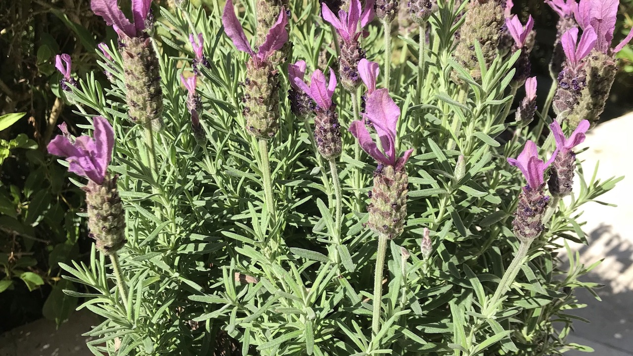 Photo of Outdoor in Quartier Beauregard-Boufflers-Buthegnemont-Boudonville