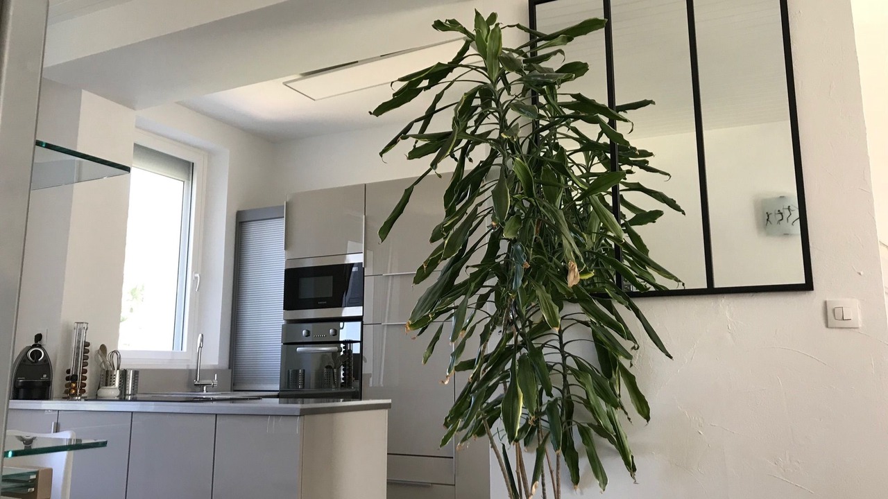 Photo of Kitchen in Quartier Beauregard-Boufflers-Buthegnemont-Boudonville