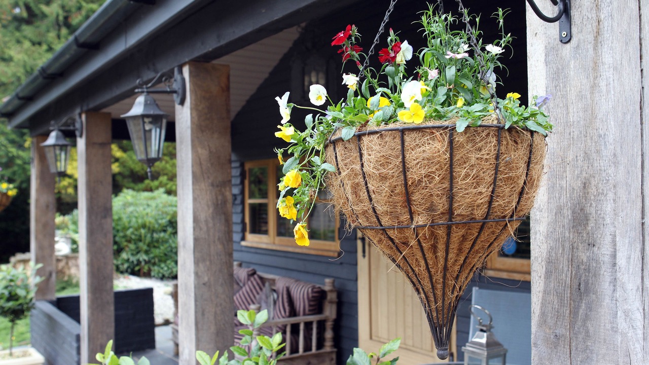 Photo of Outdoor in Churt