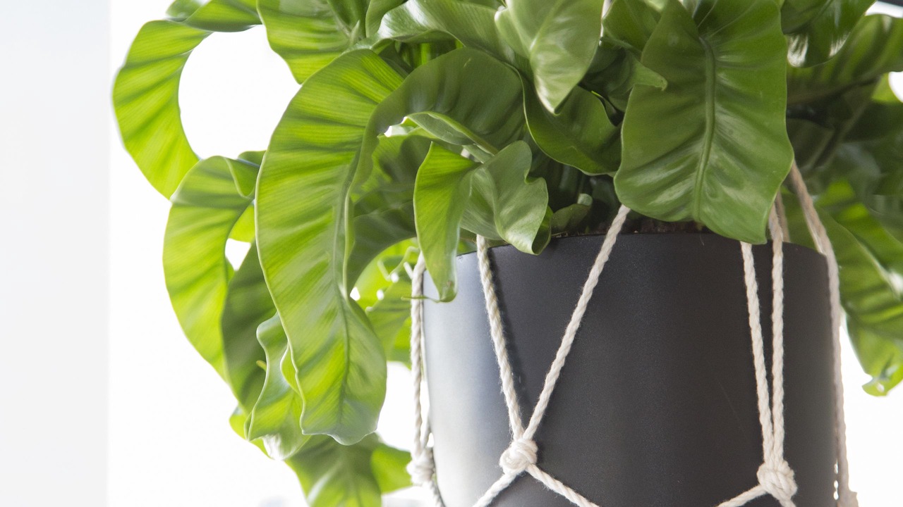 Photo of Others in Widnau