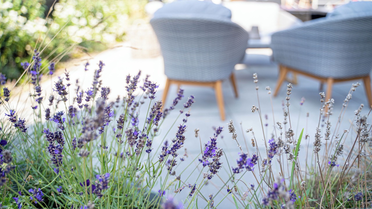 Photo of Patio Balcony in Skagen