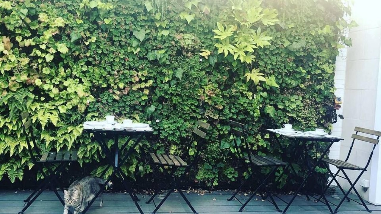 Photo of Patio Balcony in Grand Parc-Paul Doumer