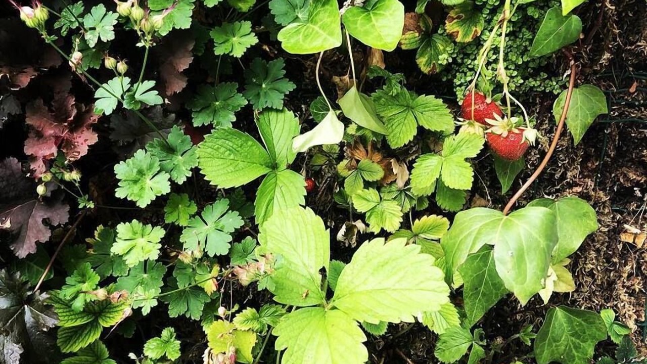 Photo of Outdoor in Grand Parc-Paul Doumer