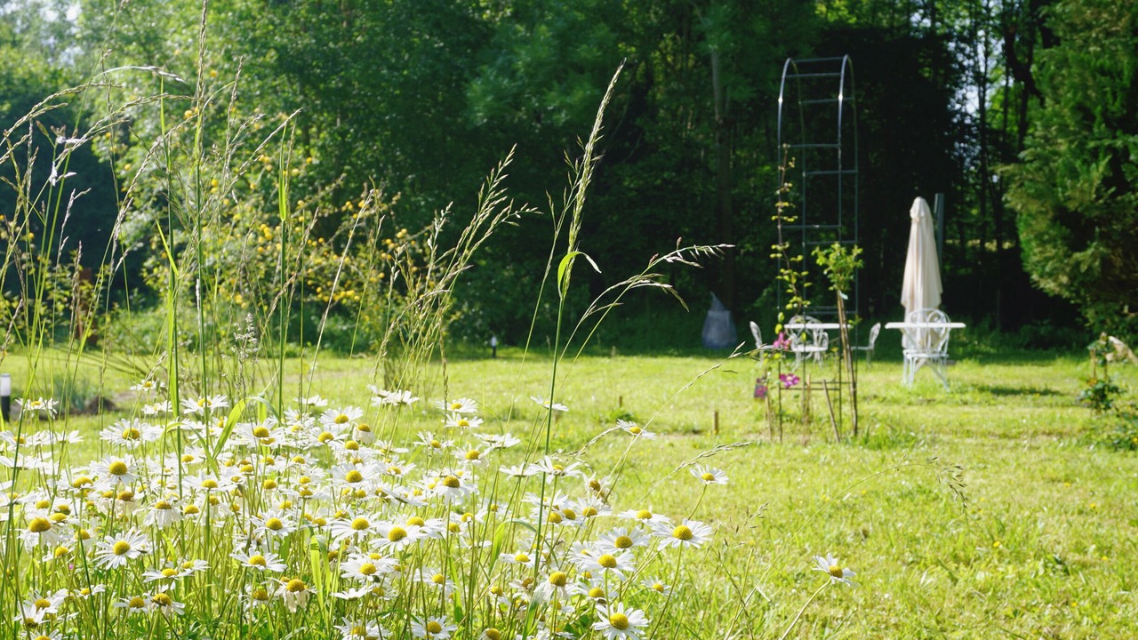 Photo of Outdoor in La Roche-Guyon