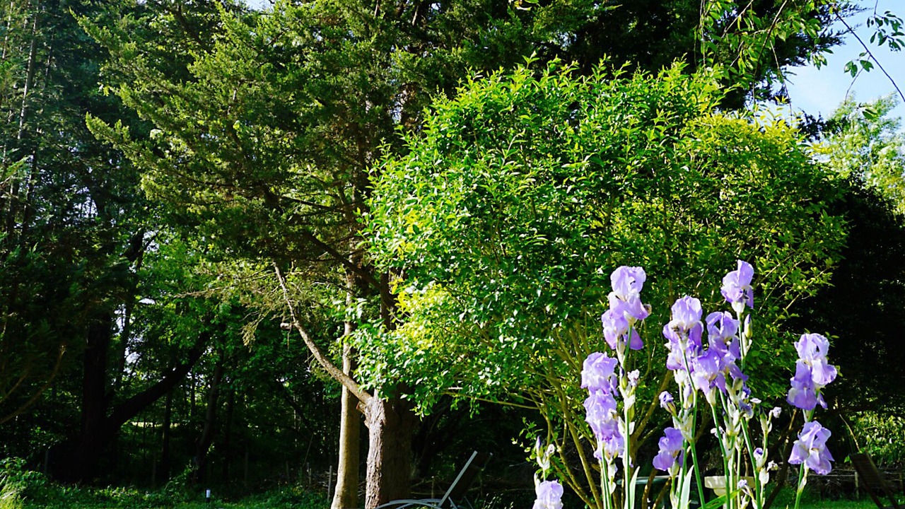 Photo of Outdoor in La Roche-Guyon