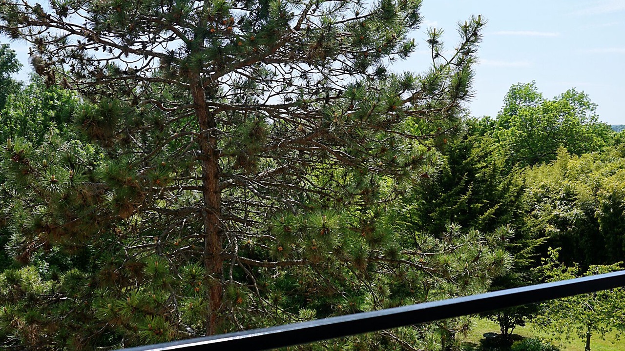 Photo of Outdoor in La Roche-Guyon