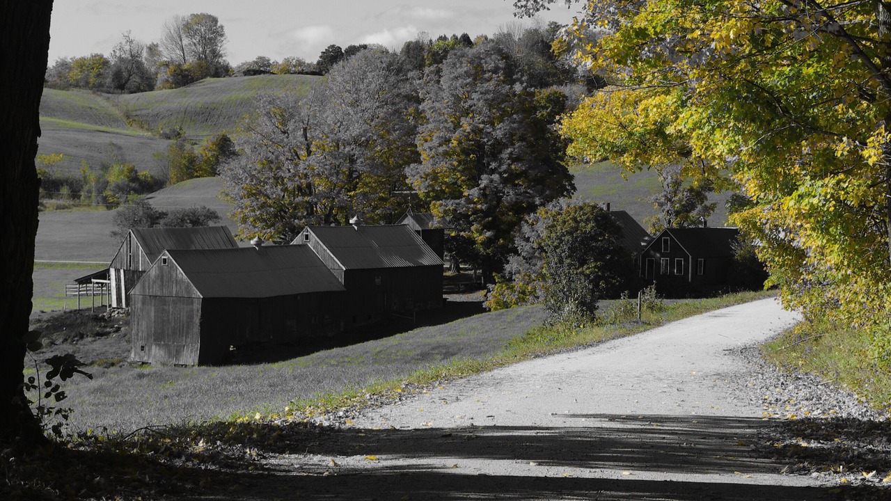 Photo of Outdoor in Reading