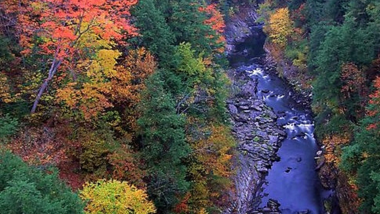 Photo of Outdoor in Reading
