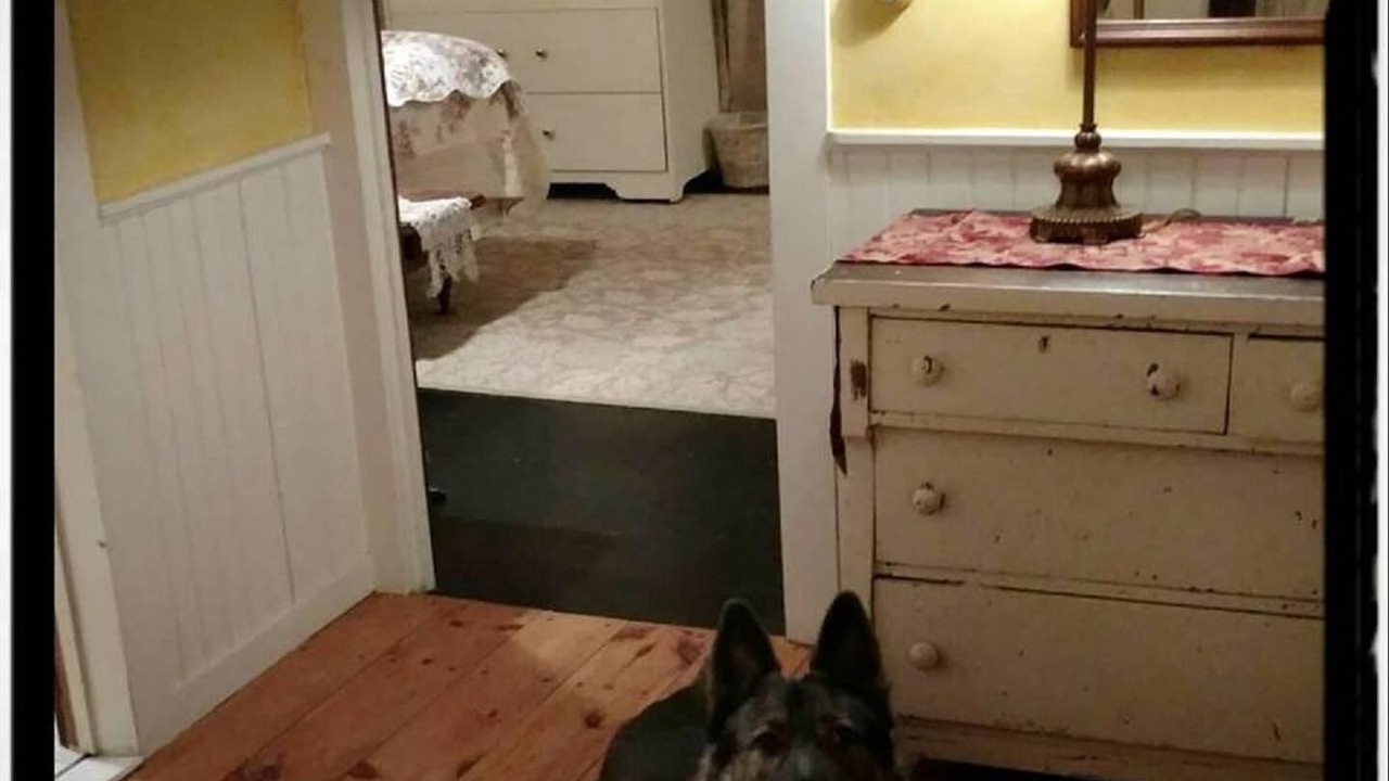 Photo of Others in Reading