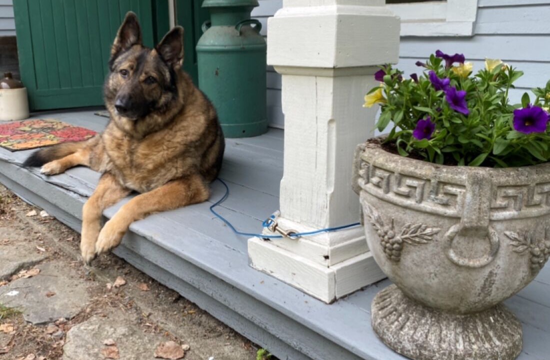 Photo of Outdoor in Reading