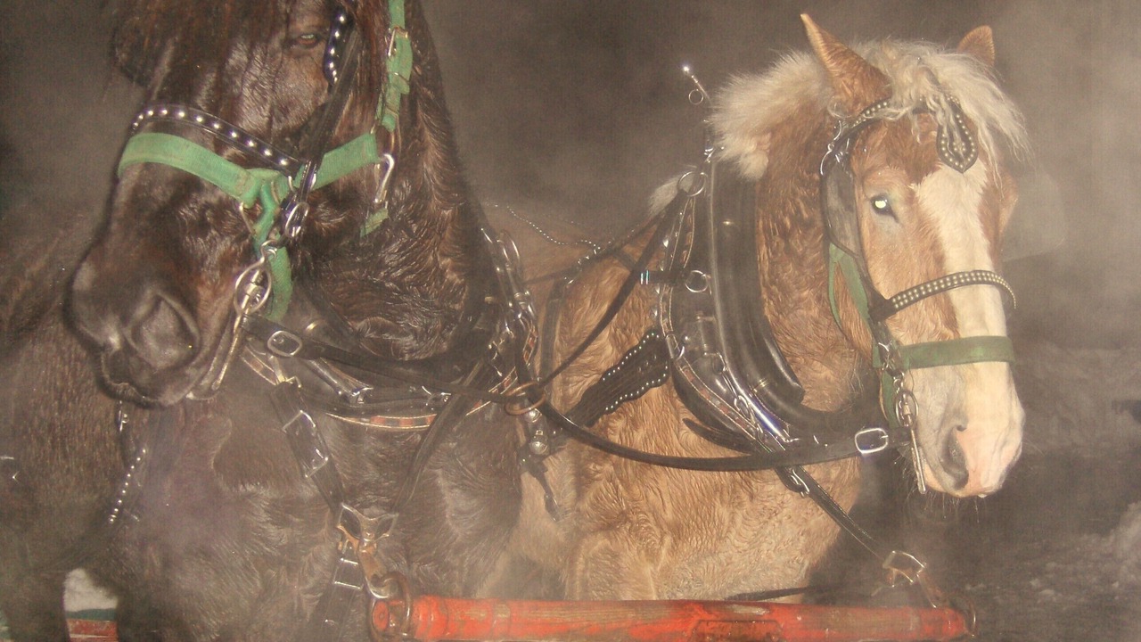 Photo of Others in Reading