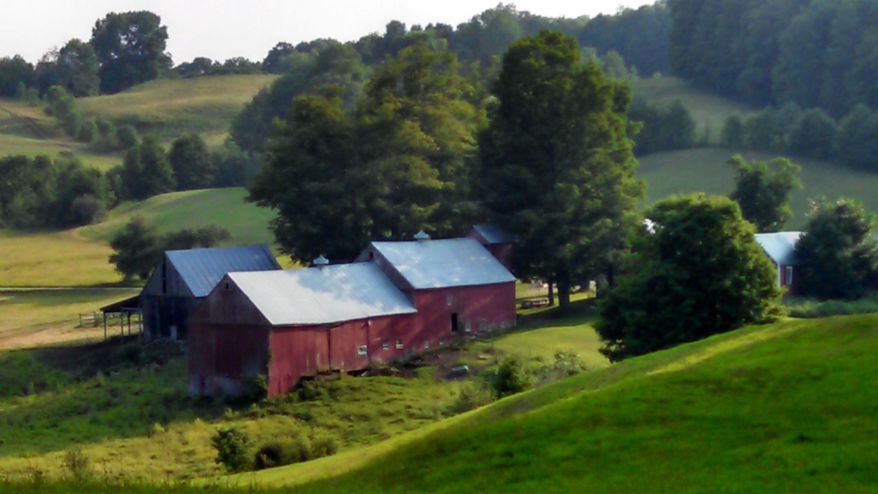 Photo of Outdoor in Reading