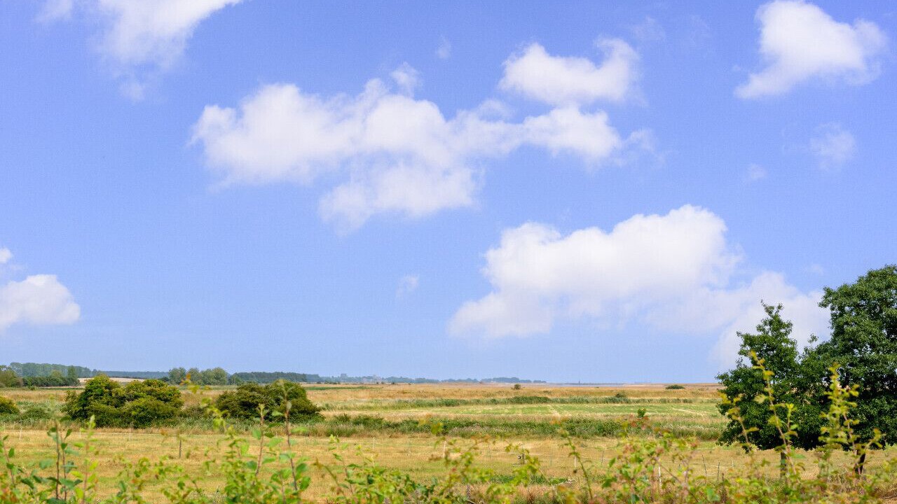 Photo of Outdoor in Woodbridge