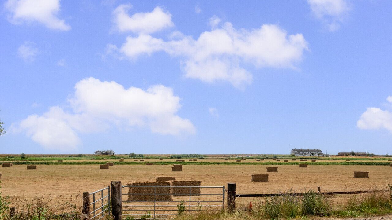 Photo of Others in Woodbridge