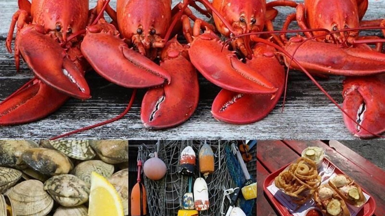 Photo of Others in Dock Junction