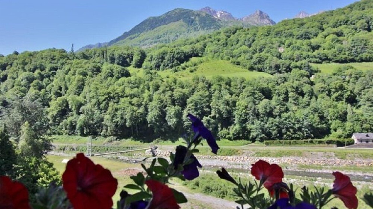 Photo of Outdoor in Saligos