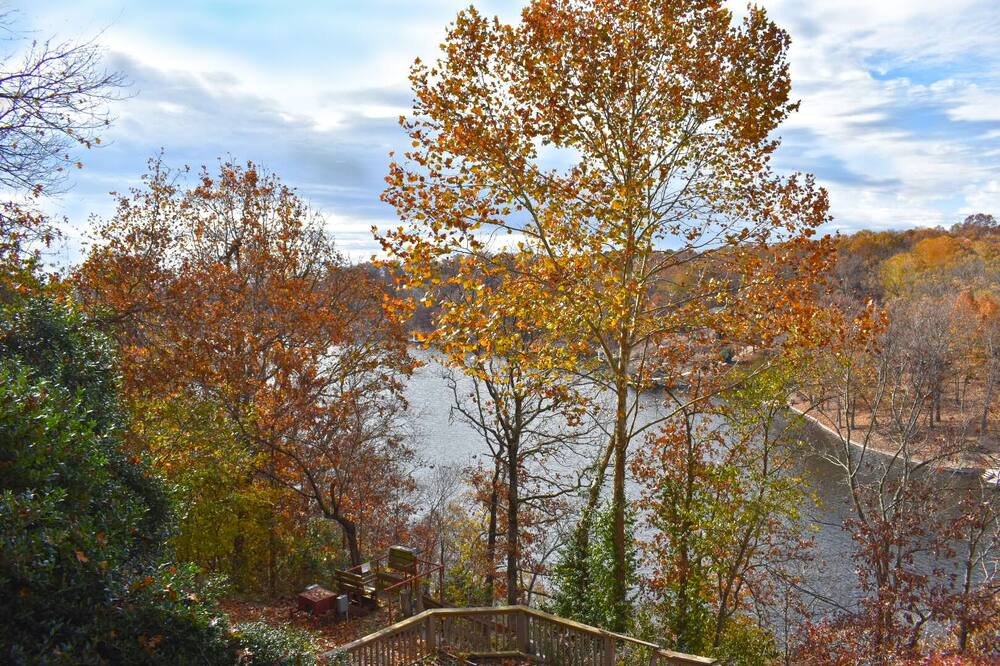 Photo of Outdoor in Bella Vista