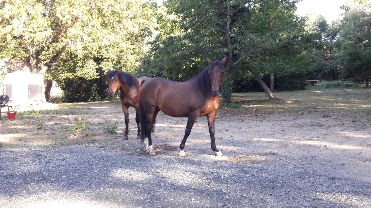 Photo of Outdoor in Ruaudin