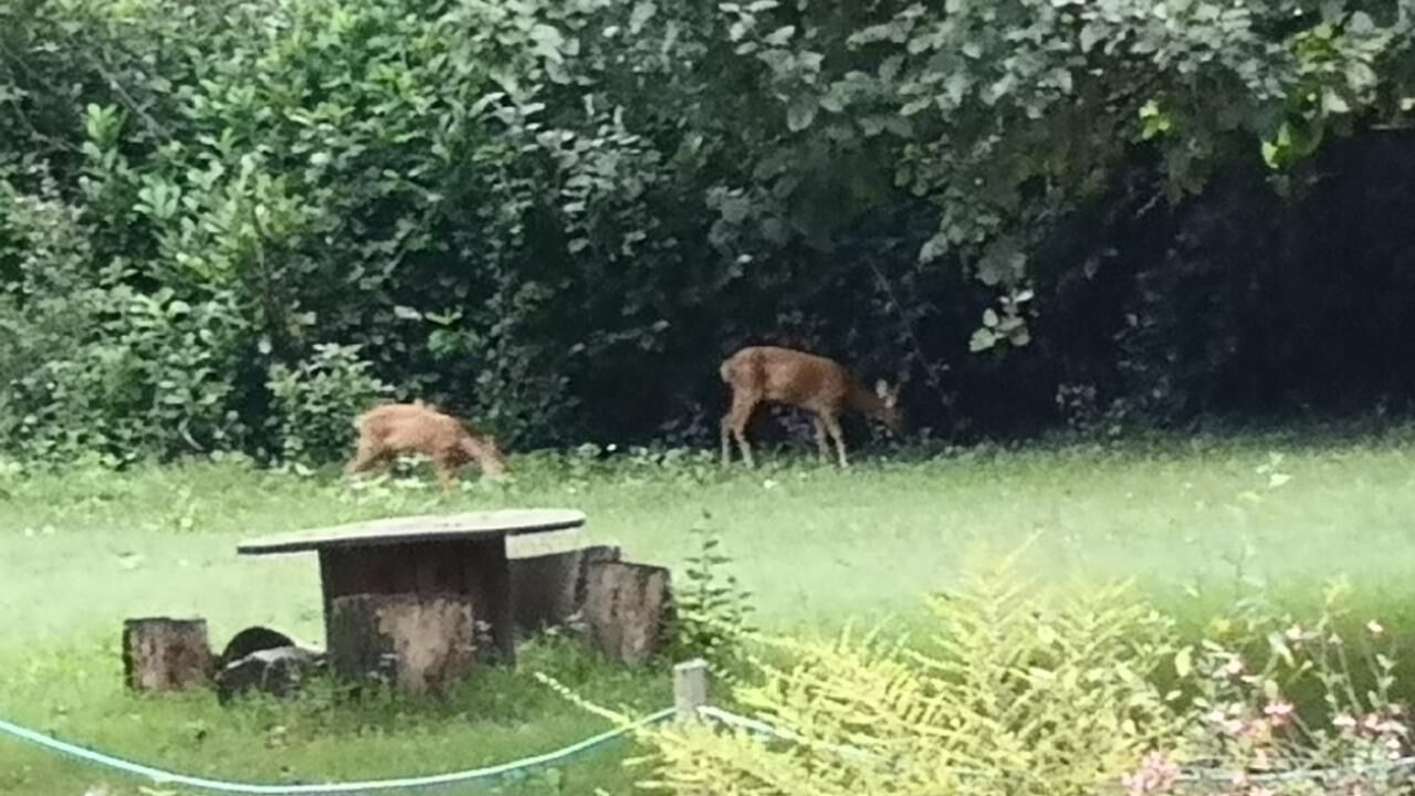 Photo of Outdoor in Ruaudin