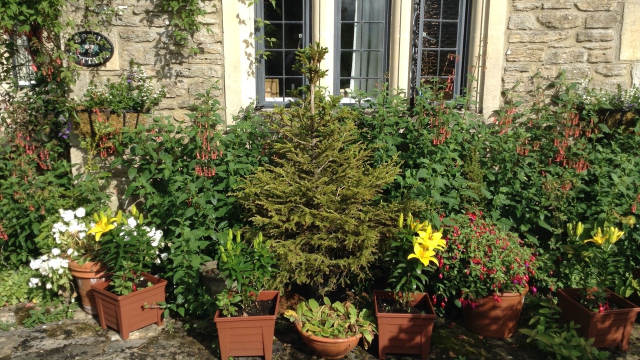 Photo of Outdoor in Bradford-on-Avon