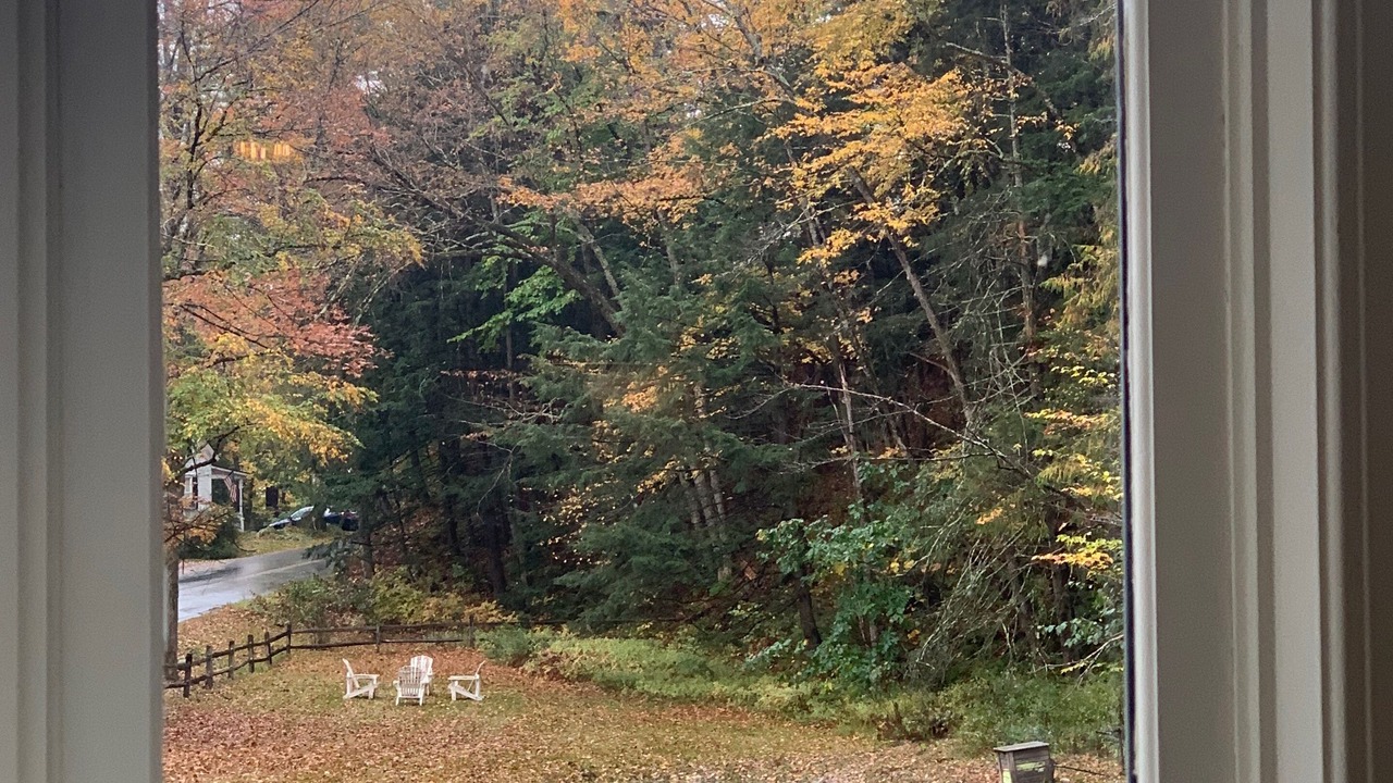 Photo of Others in Grafton