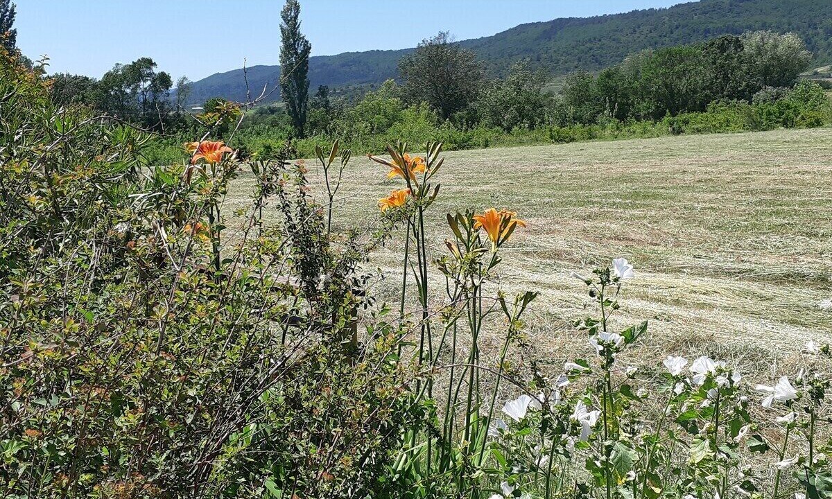 Photo of Outdoor in Alba-la-Romaine
