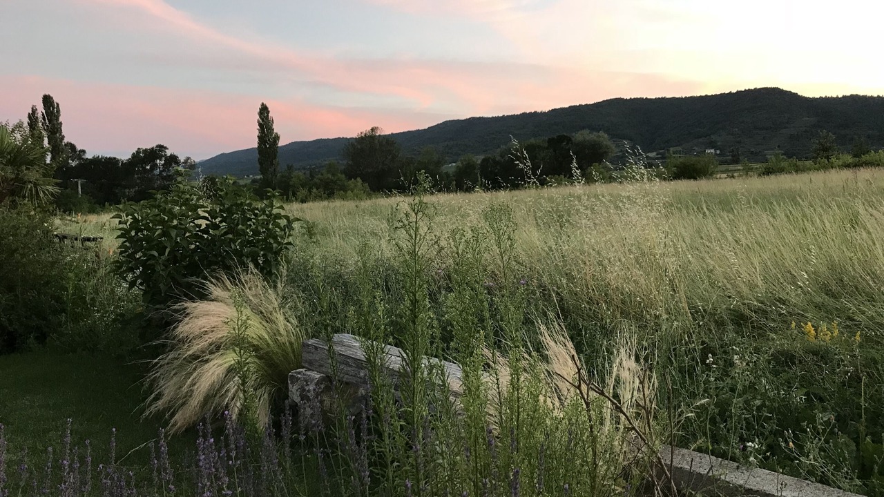 Photo of Outdoor in Alba-la-Romaine