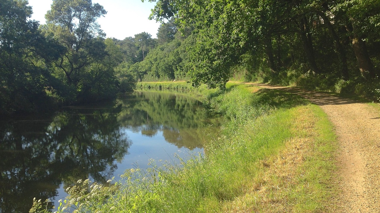 Photo of Outdoor in Plesse