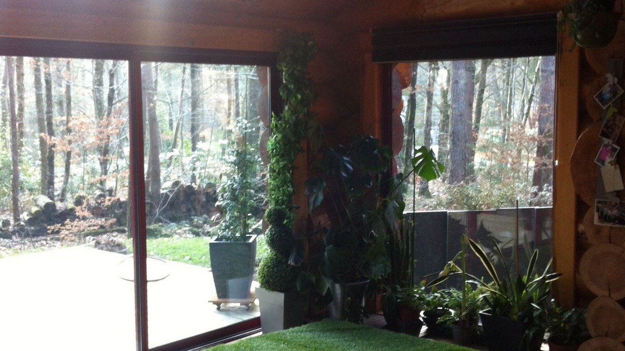 Photo of Others in Plesse