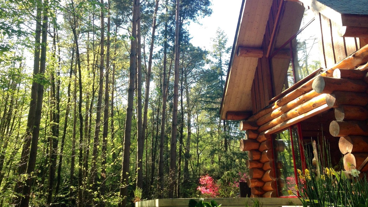 Photo of Outdoor in Plesse