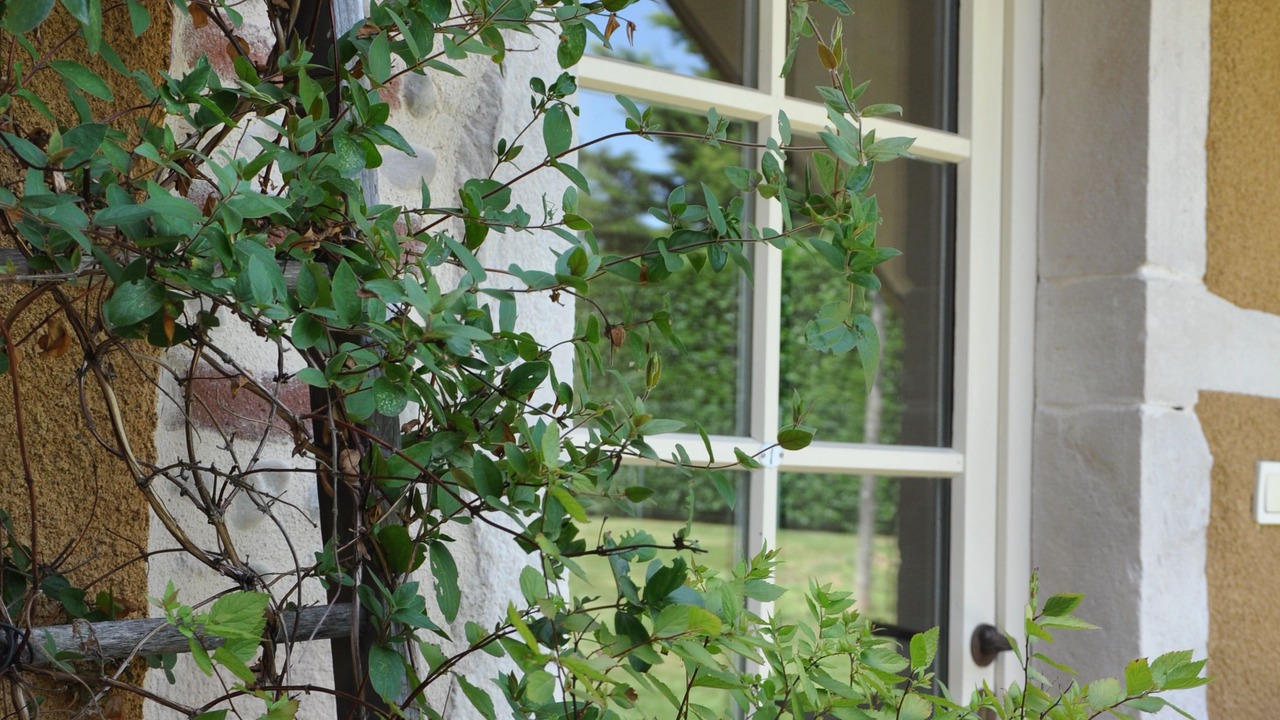 Photo of Bedroom in Cesseins