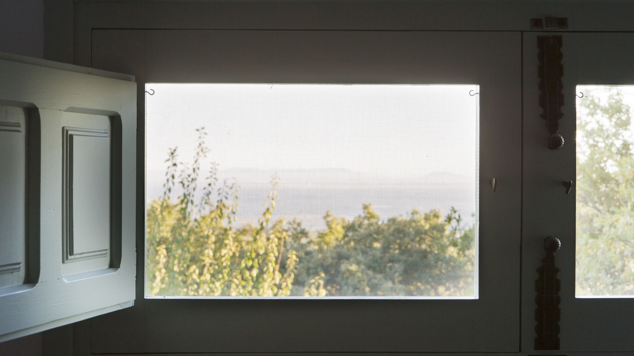 Photo of Others in Candeleda