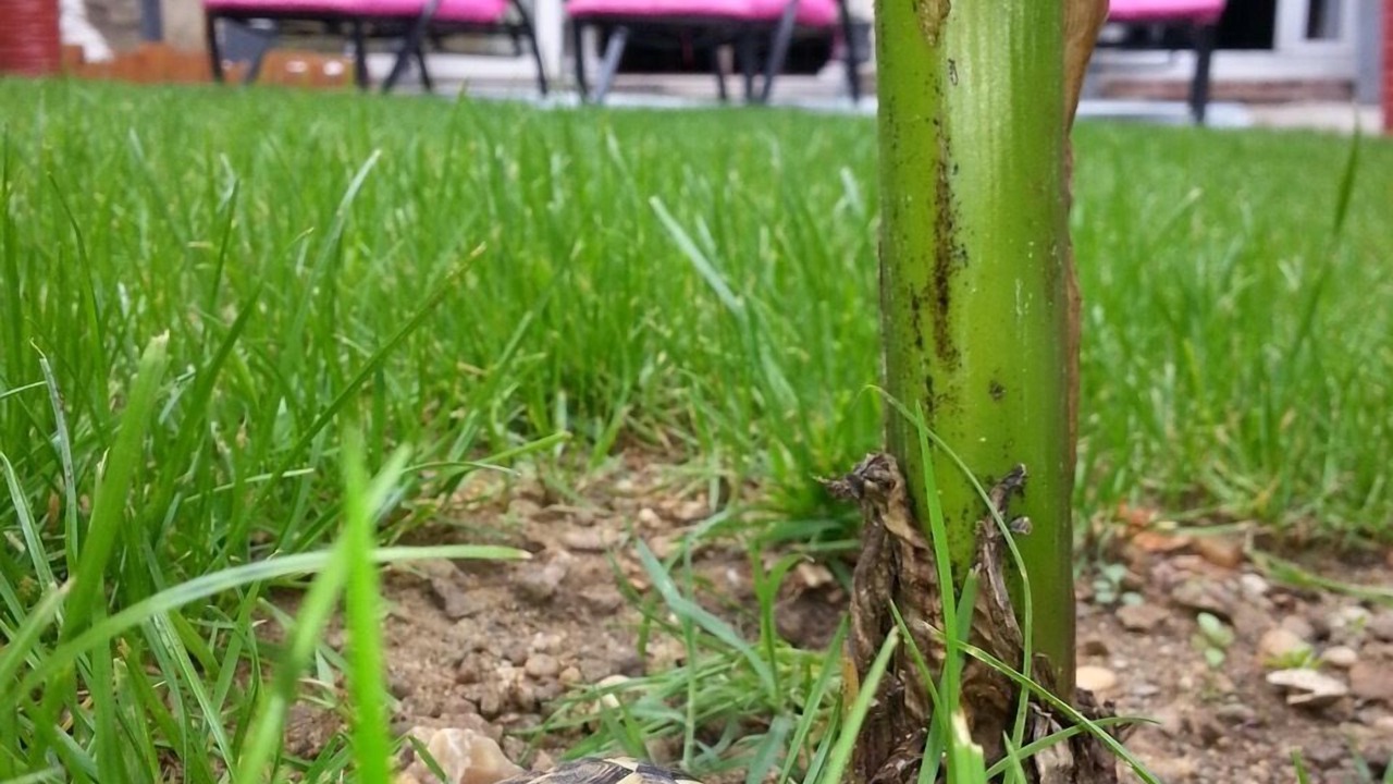 Photo of Outdoor in Nord - Gare