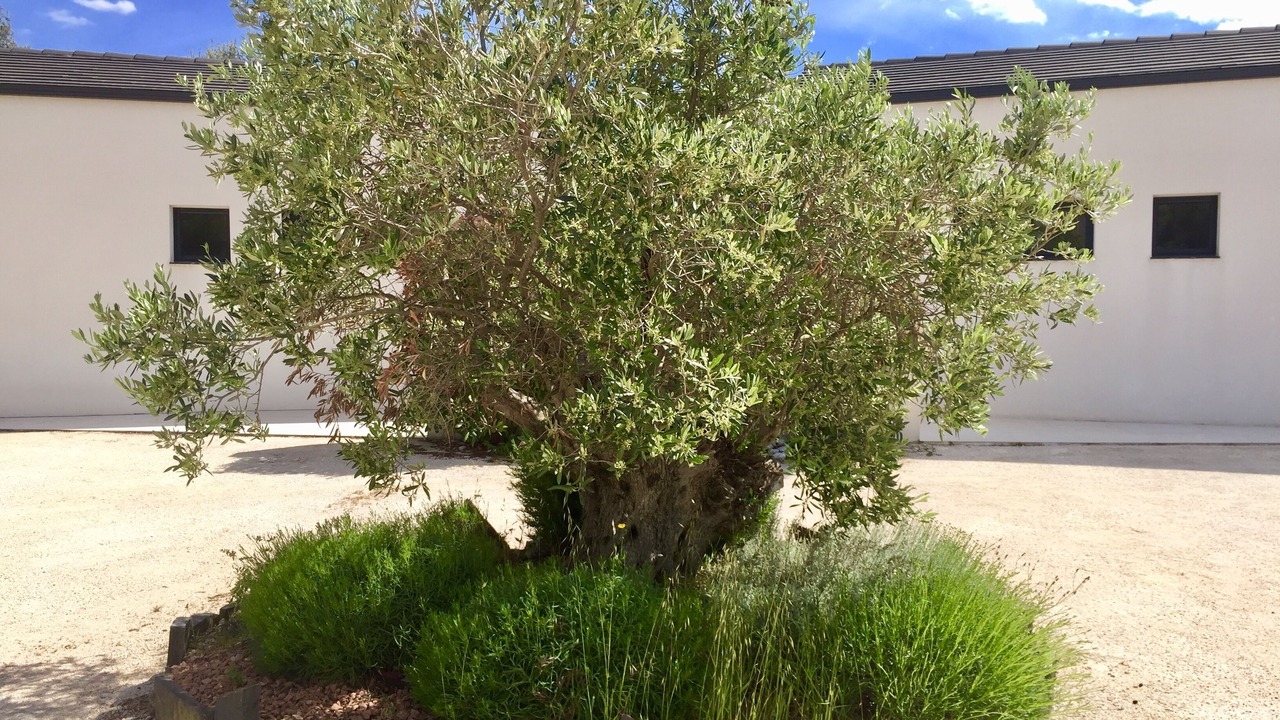 Photo of Outdoor in Sausset-les-Pins