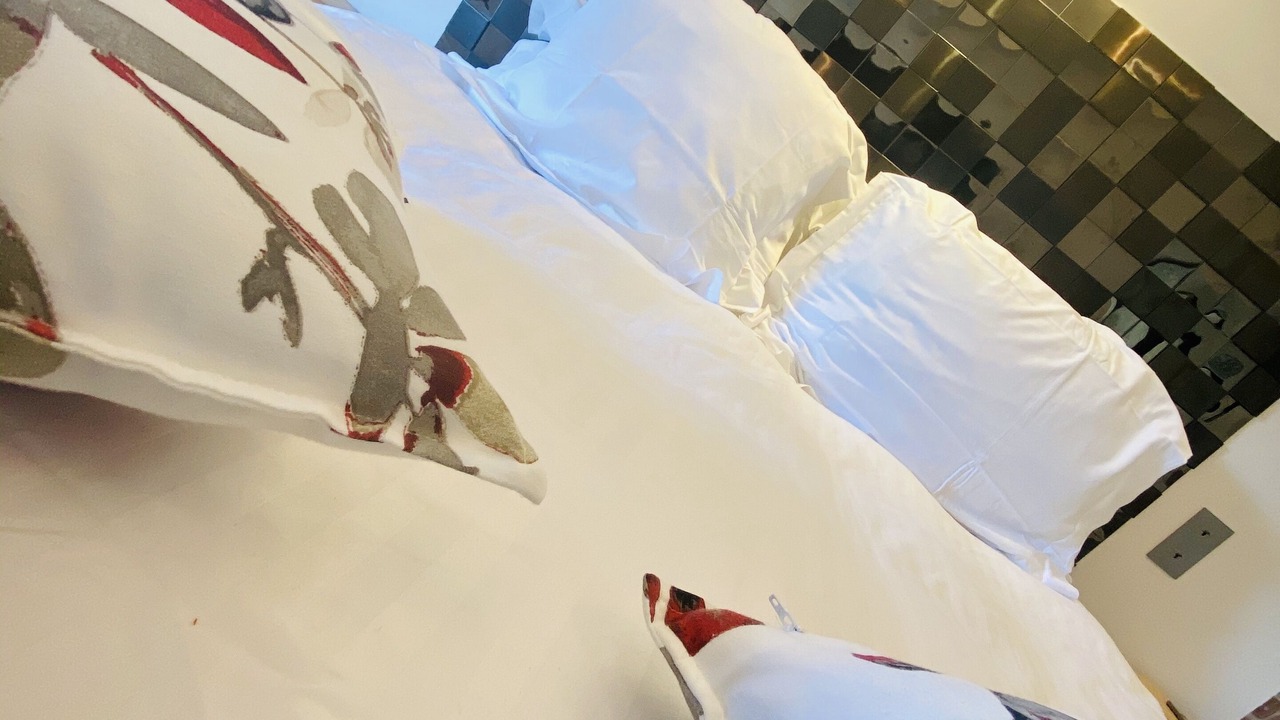 Photo of Others in Saint-Paul-de-Vence