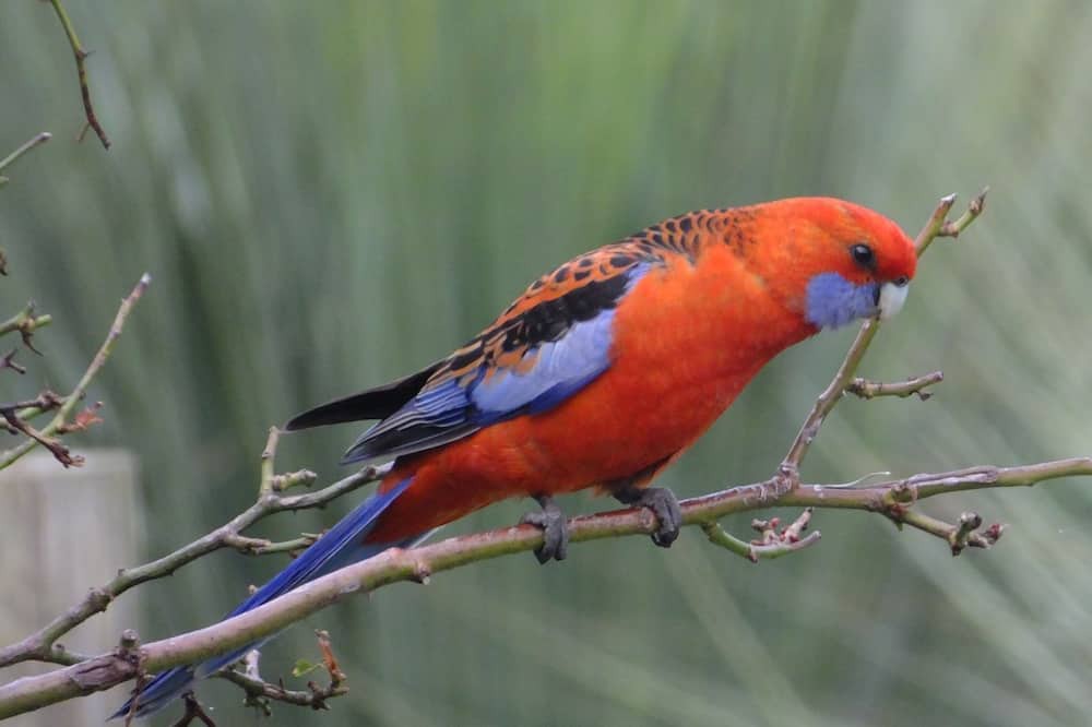 Photo of Outdoor in Deep Creek