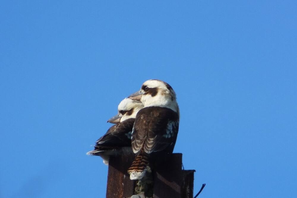Photo of Others in Deep Creek