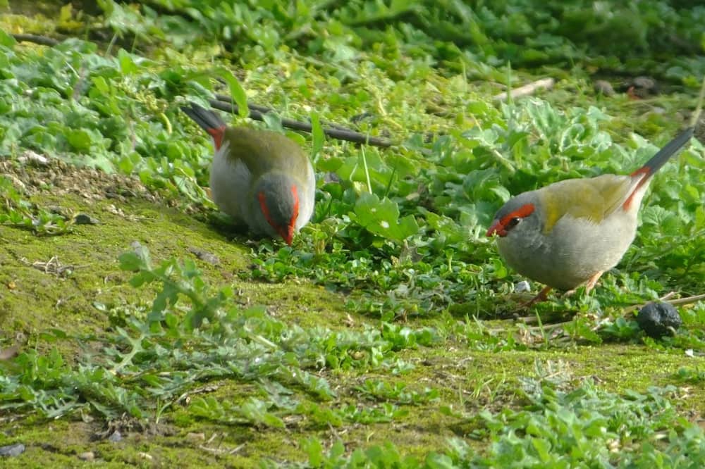 Photo of Outdoor in Deep Creek