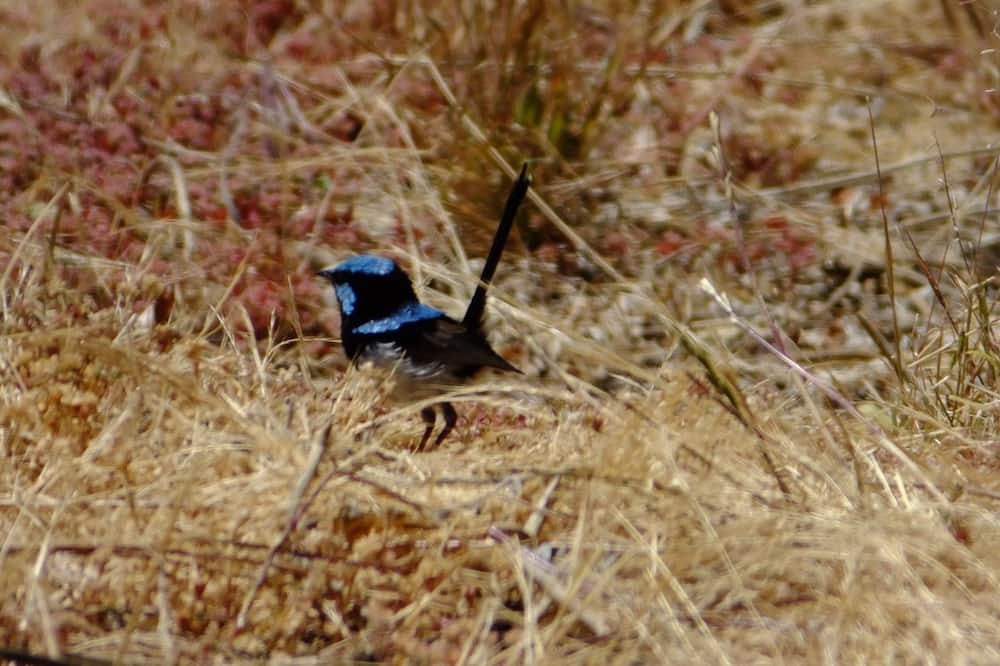 Photo of Others in Deep Creek