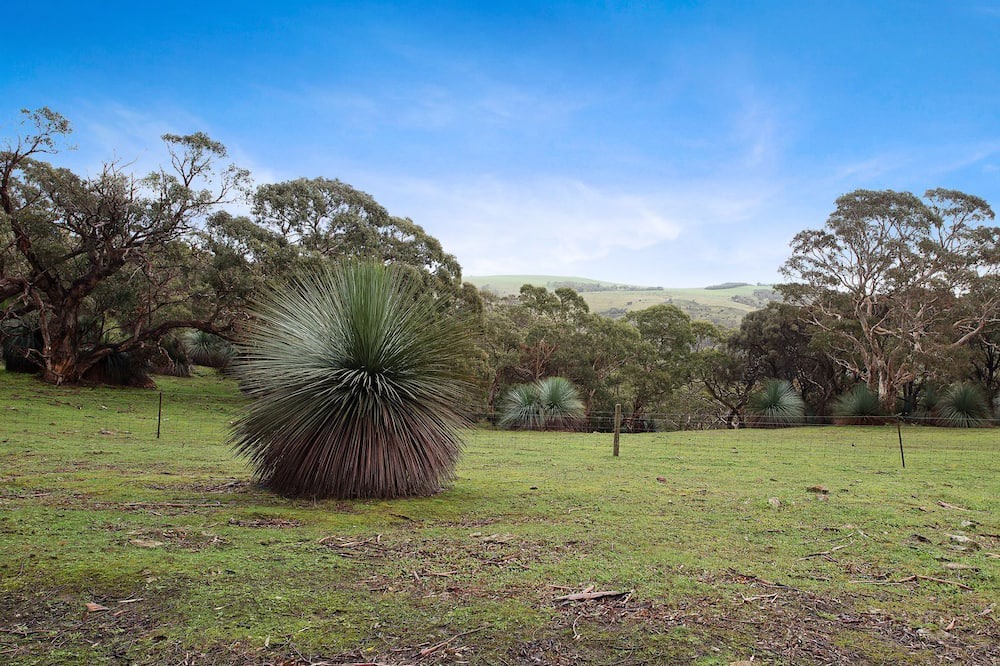 Photo of Outdoor in Deep Creek