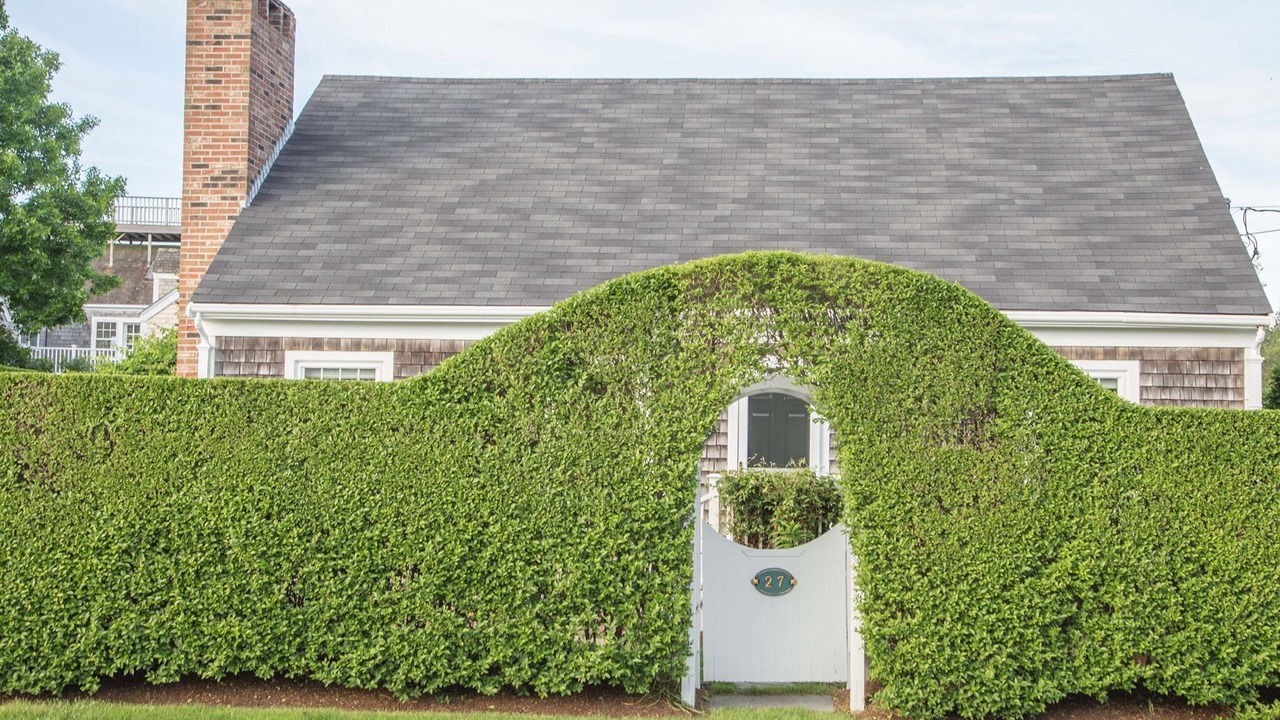 Photo of Outdoor in Brant Point