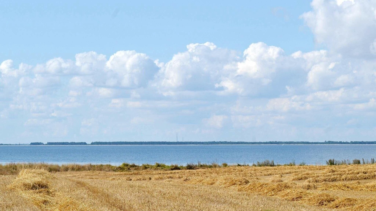 Photo of Others in Martofte