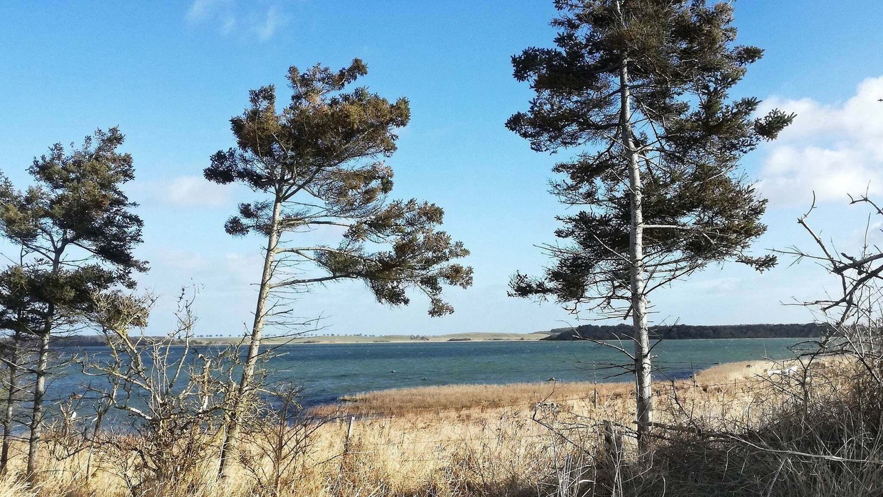 Photo of Others in Martofte