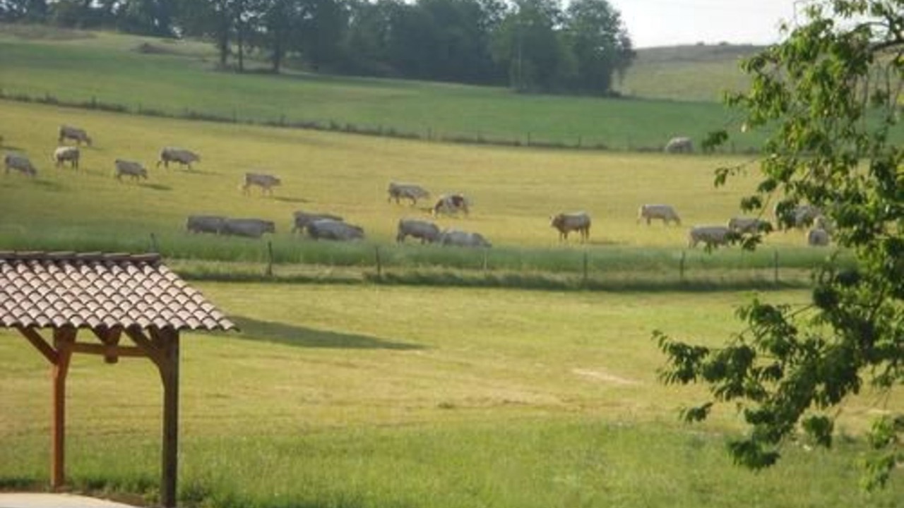 Photo of Others in Saint-Antonin Noble Val